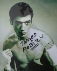 File:TorresArbizu.jpg