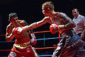 Thumbnail for version as of 12:29, 24 October 2013