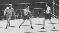 File:Tunney Greb fight.jpg