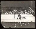 Tunney vs Carpentier.jpg
