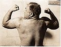Two Ton Tony.jpg