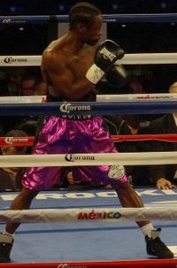 File:Tylonburris-2014-12-06.JPG