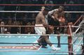 Tyson-Biggs-U87342101.jpg