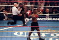 Tyson-Bruno II 1790631.jpg