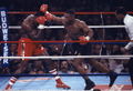 Tyson-Bruno I 93686343.jpg