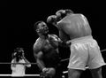 Tyson-Thomas-BE059105.jpg