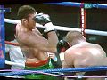 Tyson Fury punches himself in the face.jpg