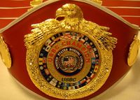 File:USBC Belt.jpg