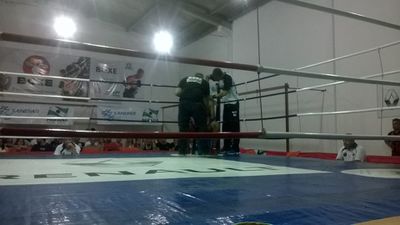 Valdinei de Jesus Rodrigues Xavier vs. Jeferson Velasque Serafim (04).jpg