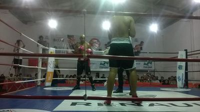 Valdinei de Jesus Rodrigues Xavier vs. Jeferson Velasque Serafim (14).jpg