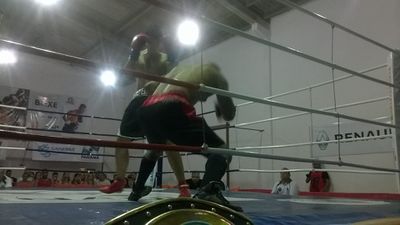 Valdinei de Jesus Rodrigues Xavier vs. Jeferson Velasque Serafim (15).jpg