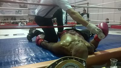 Valdinei de Jesus Rodrigues Xavier vs. Jeferson Velasque Serafim (47).jpg