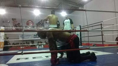 Valdinei de Jesus Rodrigues Xavier vs. Jeferson Velasque Serafim (49).jpg