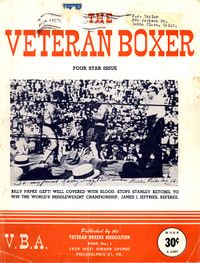 VetBoxer04.jpg