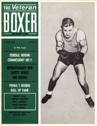 VetBoxer27.jpg