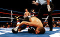 Thumbnail for version as of 04:34, 31 December 2010