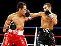 Vic Darchinyan vs. Nonito Donaire . 11. Fasan.jpg