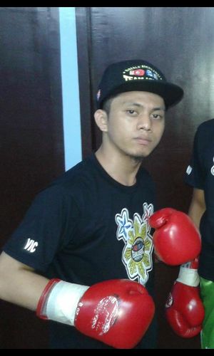 Vic Ejercito.jpeg