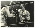 Vingo-Rocky.jpg