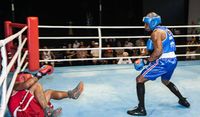 File:Vinicius Leite vs. Osvaldo Junior.jpg