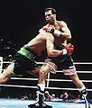Virgil Hill vs. Henry Maske (1st meeting).jpg