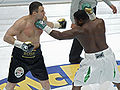 Vitali-Klitschko-fight sp.jpg