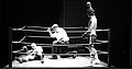 WAYNE Kelly-Referee A.jpg