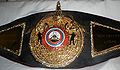 WBA Inter Belt.JPG