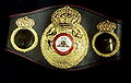 WBA belt.jpg