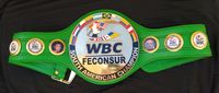 File:WBC FECONSUR Championship Belt.jpg