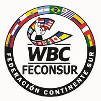 File:WBC FECONSUR Logo.jpg
