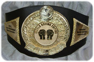 WBE world belt.jpg