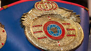 WBF-belt.jpg