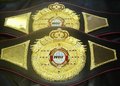 WBF world belt.jpg