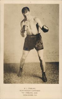 File:WStribling.jpg