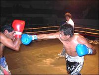 File:WW954hmozjid1fg7.jpg