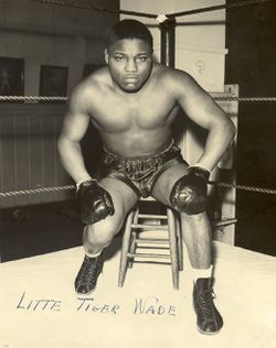 Wadelittletiger8030.jpg