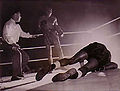 Walcott-Johnson.jpg