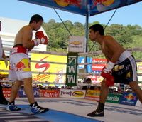 File:Wanpadejseuk Or Benjamad vs. Petchromklao Or Ekarin.jpg