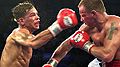 Ward-gatti-2.jpg