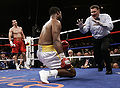 WayenKellyCounts-KDboxer.jpg