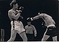Wayne kelly boxing e.jpg