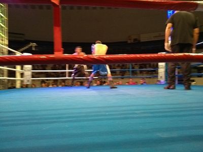 Wendel Rafael da Costa Santos vs. Leandro Prado (16).jpg