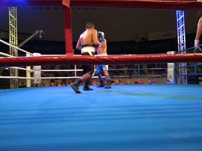 Wendel Rafael da Costa Santos vs. Leandro Prado (17).jpg