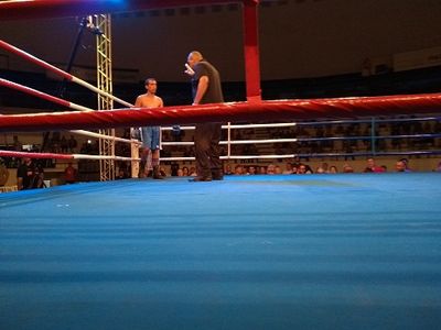 Wendel Rafael da Costa Santos vs. Leandro Prado (25).jpg