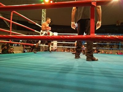 Wendel Rafael da Costa Santos vs. Leandro Prado (35).jpg