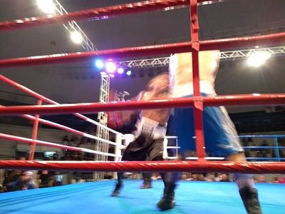 Wendel Rafael da Costa Santos vs. Leandro Prado (38).jpg