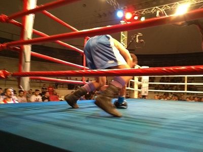 Wendel Rafael da Costa Santos vs. Leandro Prado (49).jpg