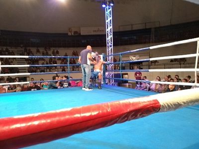 Wendel Rafael da Costa Santos vs. Leandro Prado (55).jpg