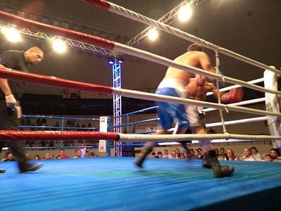 Wendel Rafael da Costa Santos vs. Leandro Prado (64).jpg